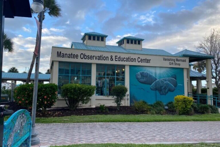 Manatees